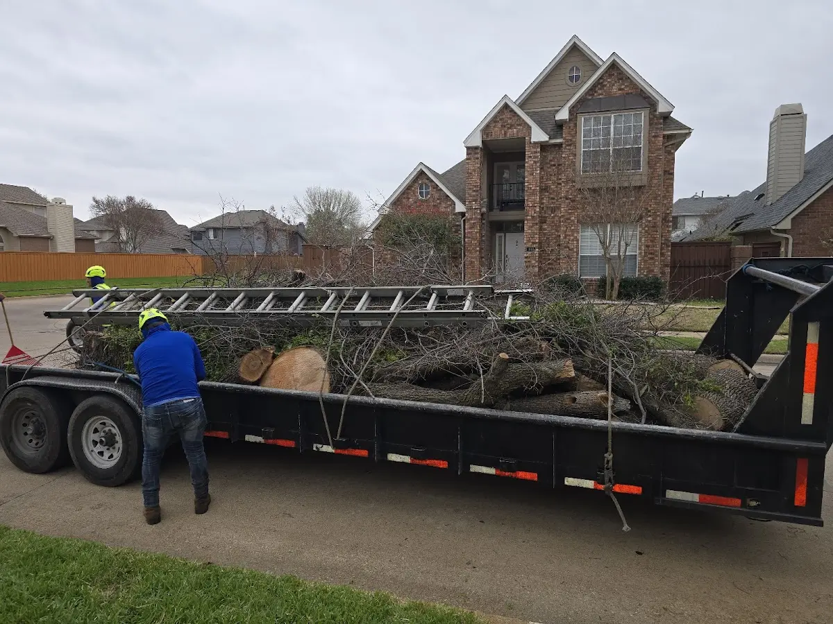 Expert Deadwooding with proper safety equipment in Prichard